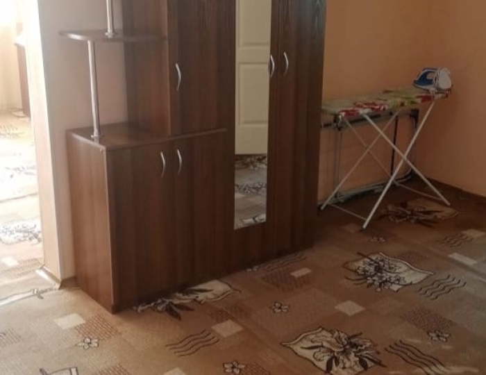 Полулюкс 2-местный - Санаторий «Шушенский» Казанцево